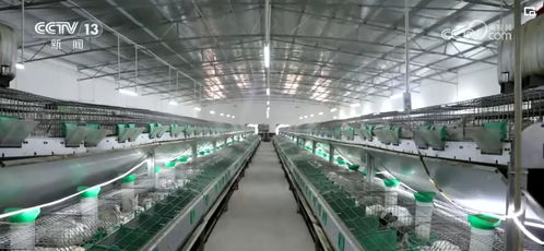 衍生農(nóng)產(chǎn)品與網(wǎng)絡技術 創(chuàng)意農(nóng)業(yè)為鄉(xiāng)村振興注入“別樣美”